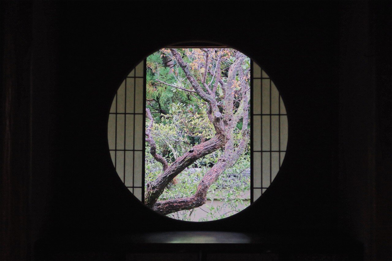 【京都景點推薦】信手捻來均是禪意的雲龍院，發現日本庭院之美